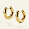 Everyday Hoops Gold