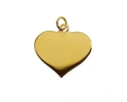 Guld/Silverbricka