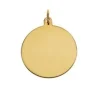 Guld/Silverbricka