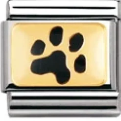 NOMINATION Black Paw