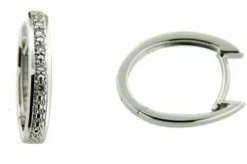 Örhänge 18K 0,04 w/p